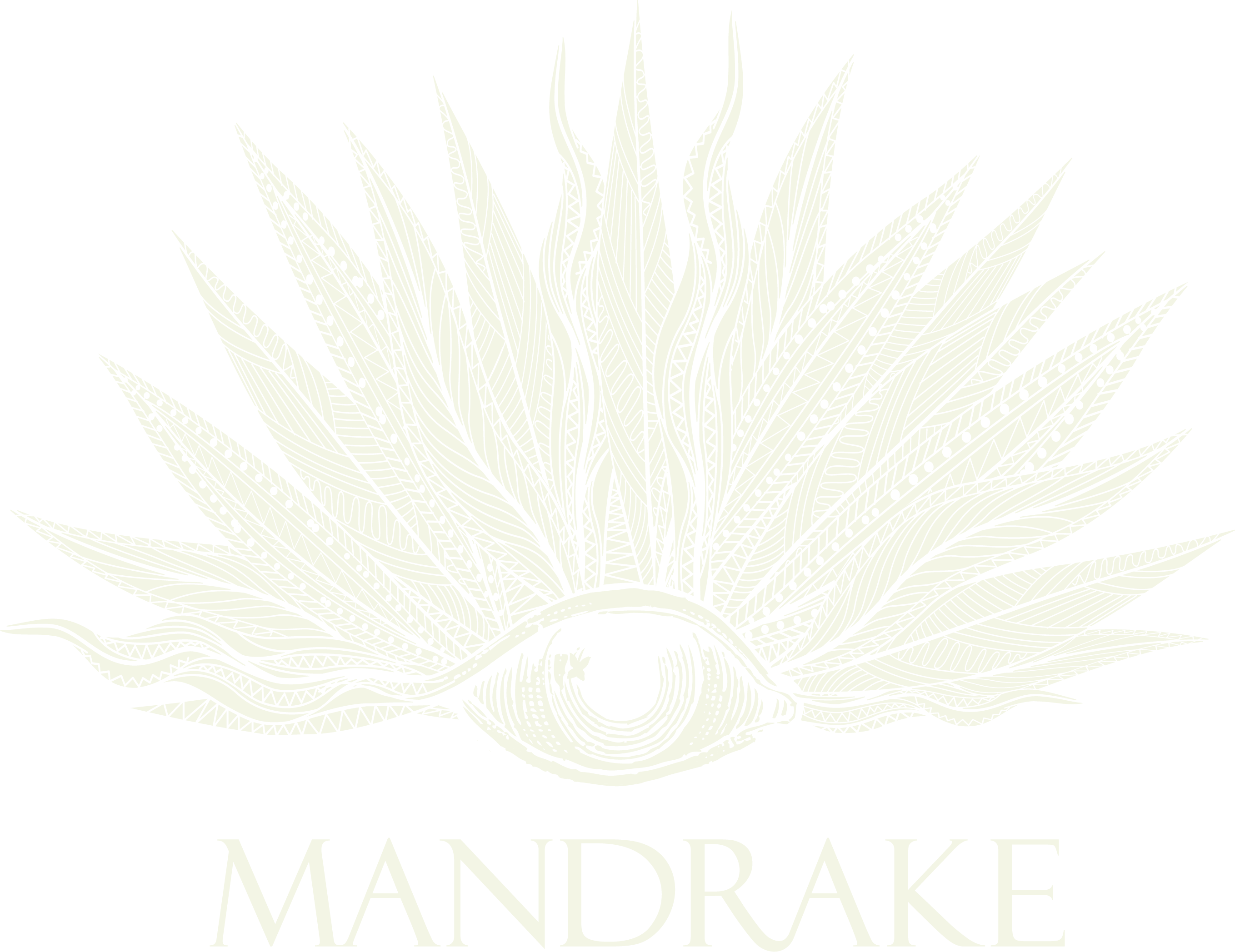 THE MANDRAKE FULL LOGO IVORY