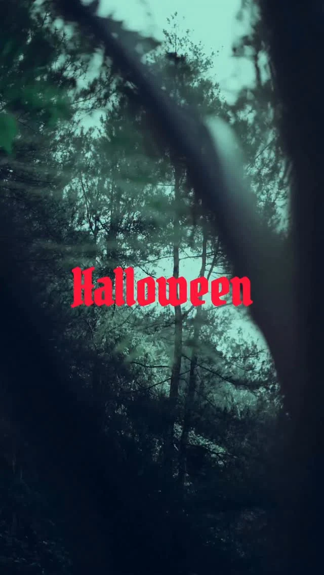 HALLOWEEN 2025 | SAMHAIN: INTO THE WOODS
Saturday 25th October 2025 | 20:00 - 03:00

Long before Halloween, the Celts marked Samhain, when the veil between worlds grew thin. This year, The Mandrake invites you to step ‘Into the Woods’ for a night of fire, ritual, and rebirth.

Immerse yourself in spellbinding performances, haunting live acts, and DJ sets weaving through the night:
Yulia Niko • Philipp Jung • Rico Loop (Live) • Ulises (Live) • Marvin Jam (Live) • B.O.T • Nikolina

Dress Code: Children of the Forest

Join us for a realm of sacrifice and celebration, where spirits stir.

Enter the hidden world.
Book your passage via our link in bio