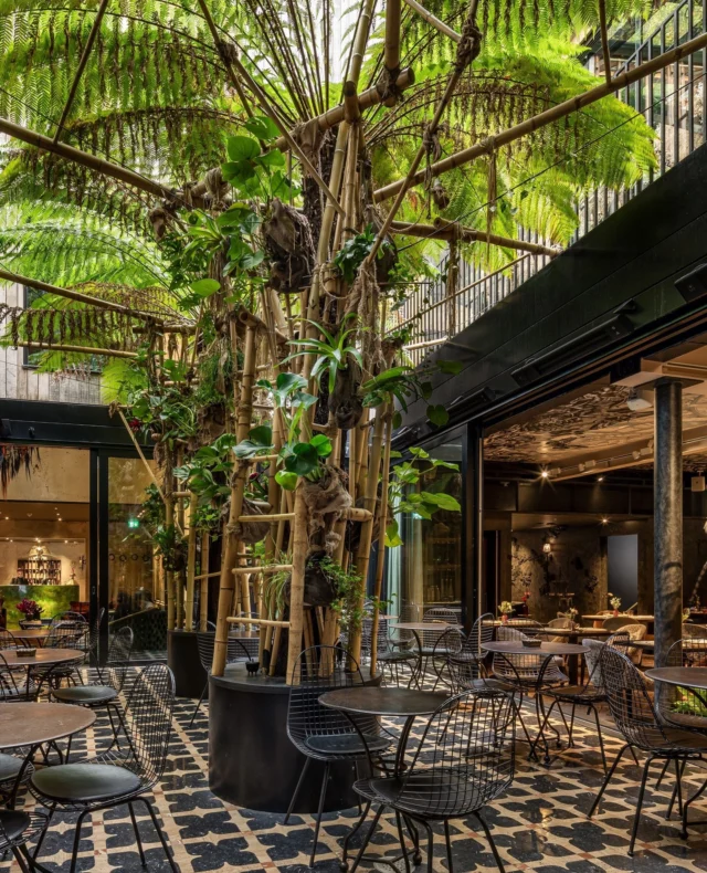 The Courtyard, a mirror to The Mandrake’s soul, nestled between Waeska bar and YOPO restaurant.

A meeting place where conversations drift, cocktails flow, and time softens.

A place where art, light, and nature entwine, linking the spirit of both spaces.

pic @jonathanbondphotography